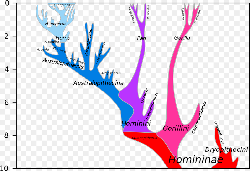 Missing Link Human Evolution, Antler, Cutlery, Fork, Smoke Pipe Free Png