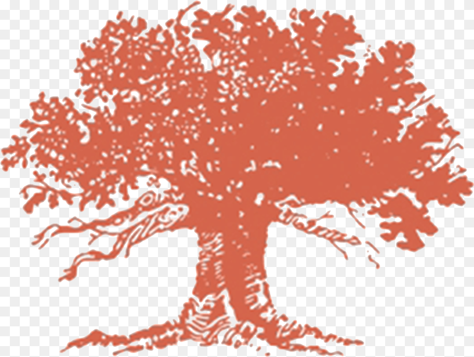 Mission Hills Country Club Logo, Plant, Tree, Maple, Vegetation Free Png