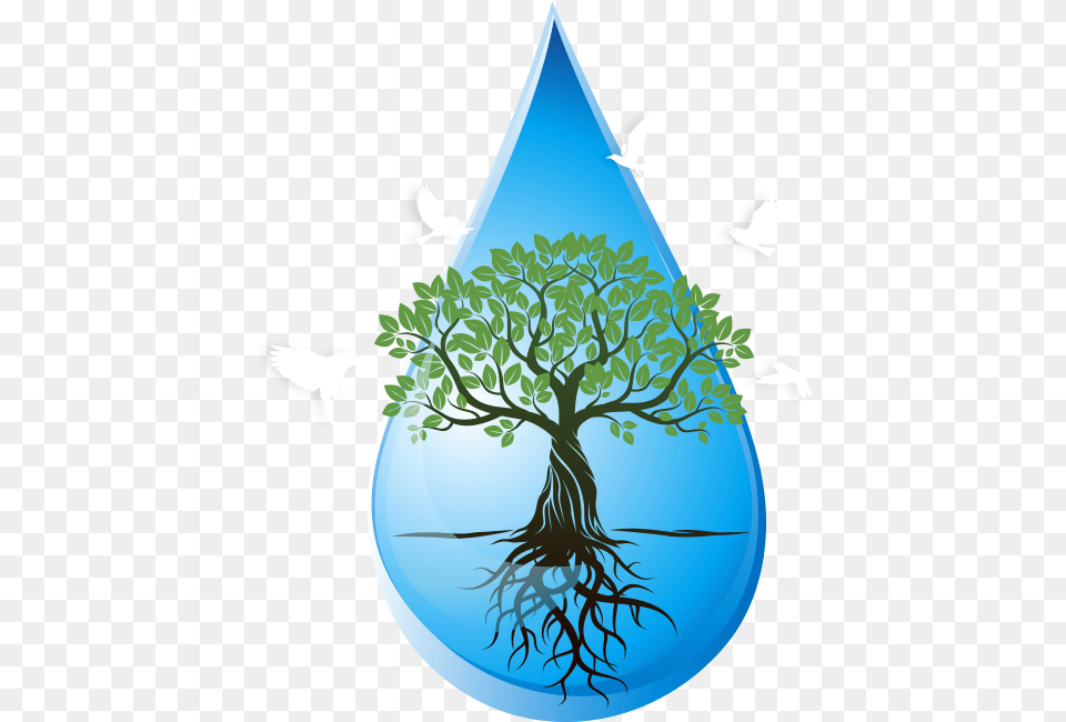 Mission Paani U2014 Clean Drinking Water For Every Citizen Tree With Roots, Animal, Bird, Person, Droplet Free Png