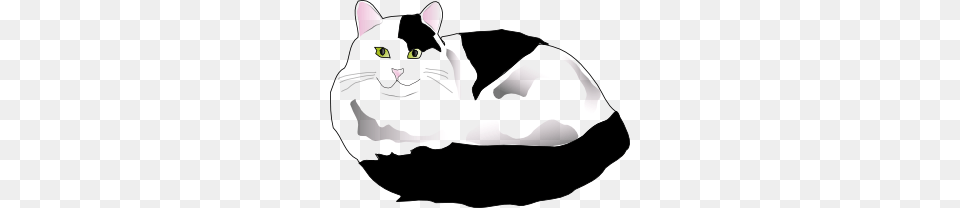 Missiridia Black And White Fluffy Cat Clip Art, Baby, Person, Animal, Mammal Png Image