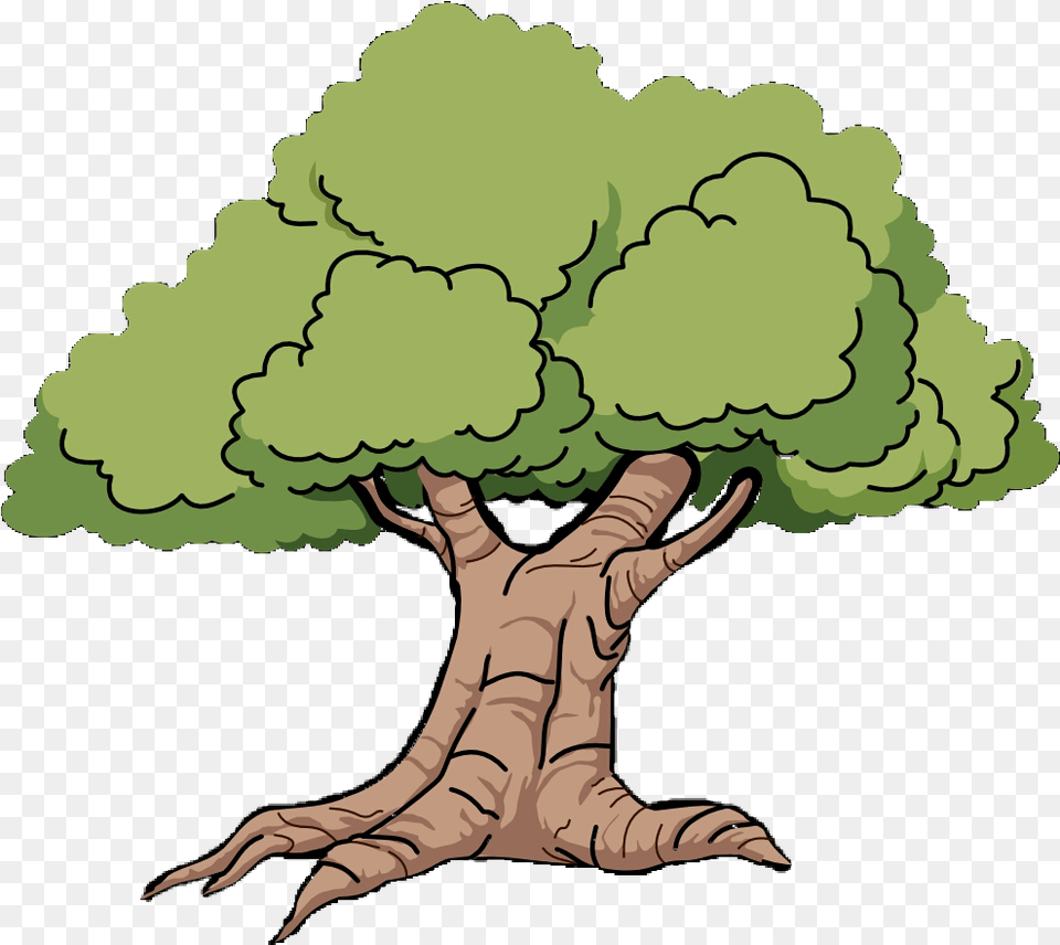 Mississippi Outline Oak Grove Clip Art Cartoon Oak Tree, Plant, Electronics, Hardware, Person Png