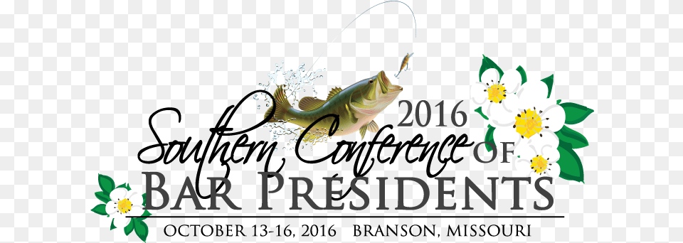 Missouri Is Proud To Host The Southern Conference, Animal, Fish, Sea Life, Outdoors Png Image