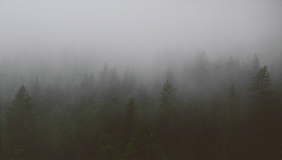Mist, Fog, Nature, Outdoors, Weather Free Transparent Png