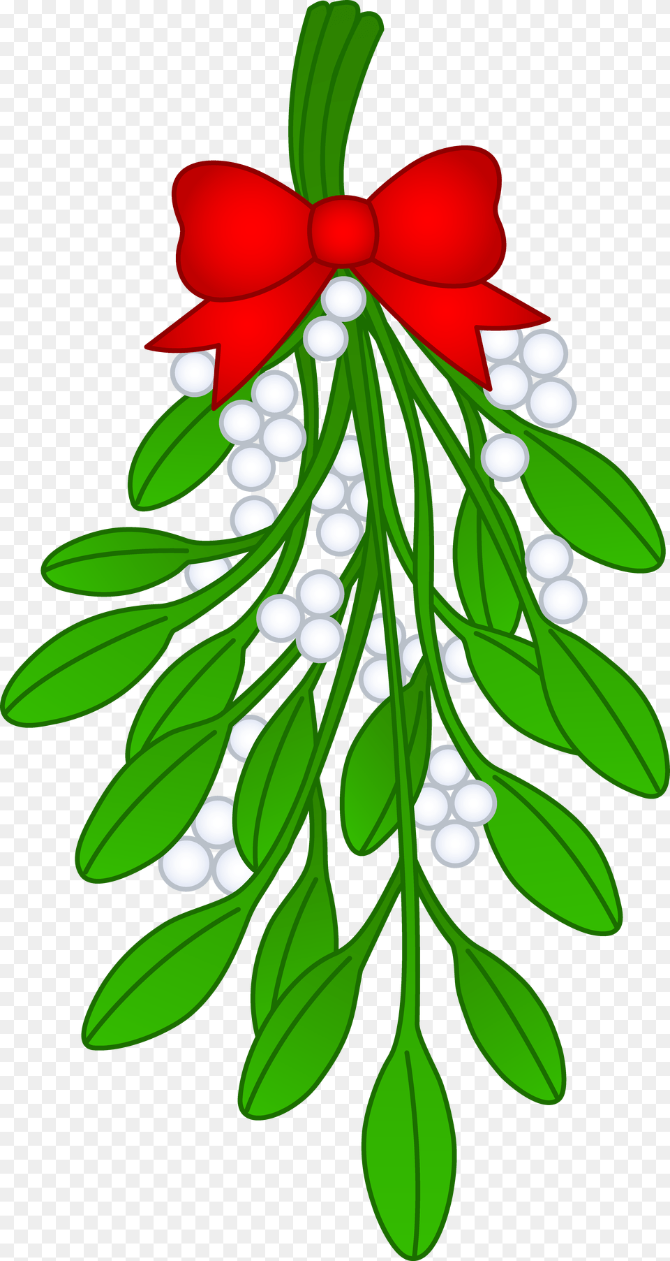 Mistle Toe Clipart, Plant, Leaf, Herbs, Herbal Free Transparent Png