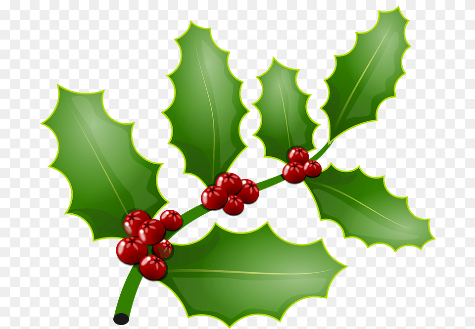 Mistletoe And Holly The Same Thing, Leaf, Plant, Food, Fruit Free Transparent Png
