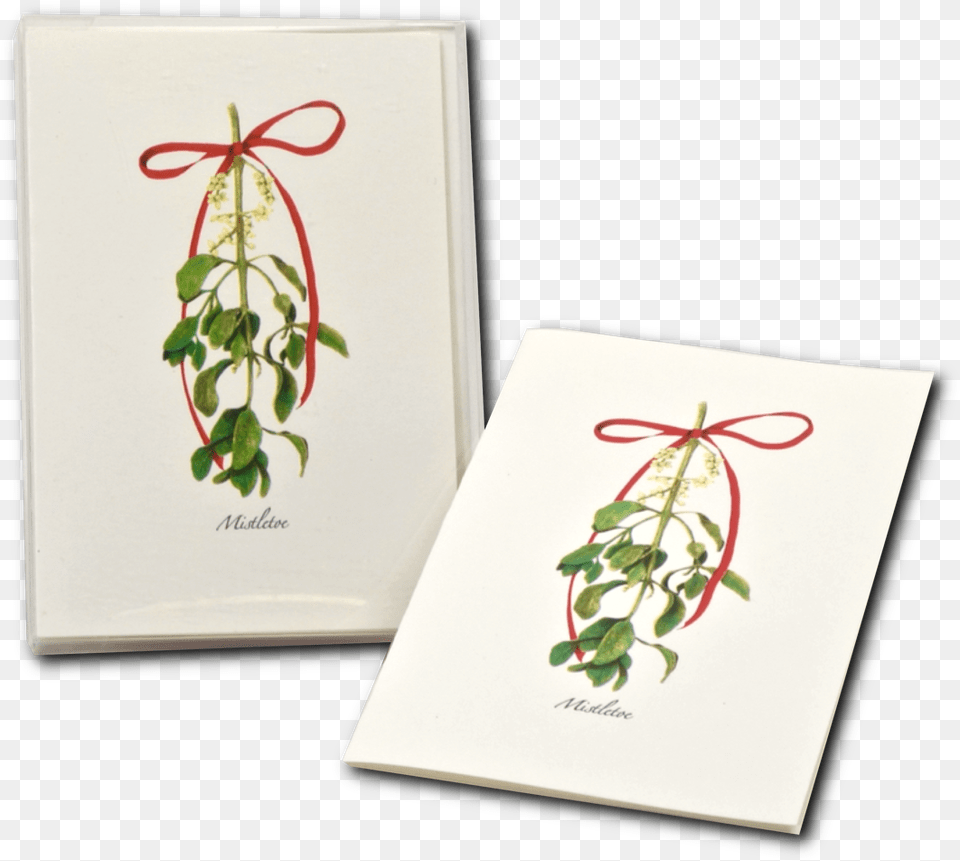 Mistletoe Boxed Notes Craft, Envelope, Greeting Card, Mail, Plant Free Png Download