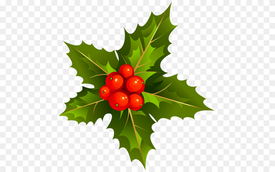 Mistletoe Branch, Leaf, Plant, Food, Fruit Free Transparent Png