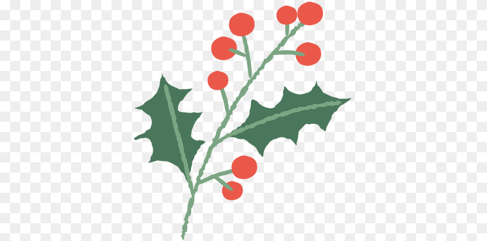 Mistletoe Branch Christmas Illustration Transparent Ramas De Navidad, Leaf, Plant, Food, Fruit Free Png Download