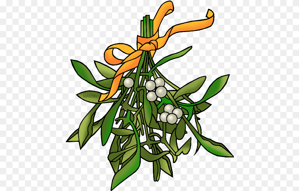 Mistletoe Clip Art, Graphics, Person, Floral Design, Pattern Png