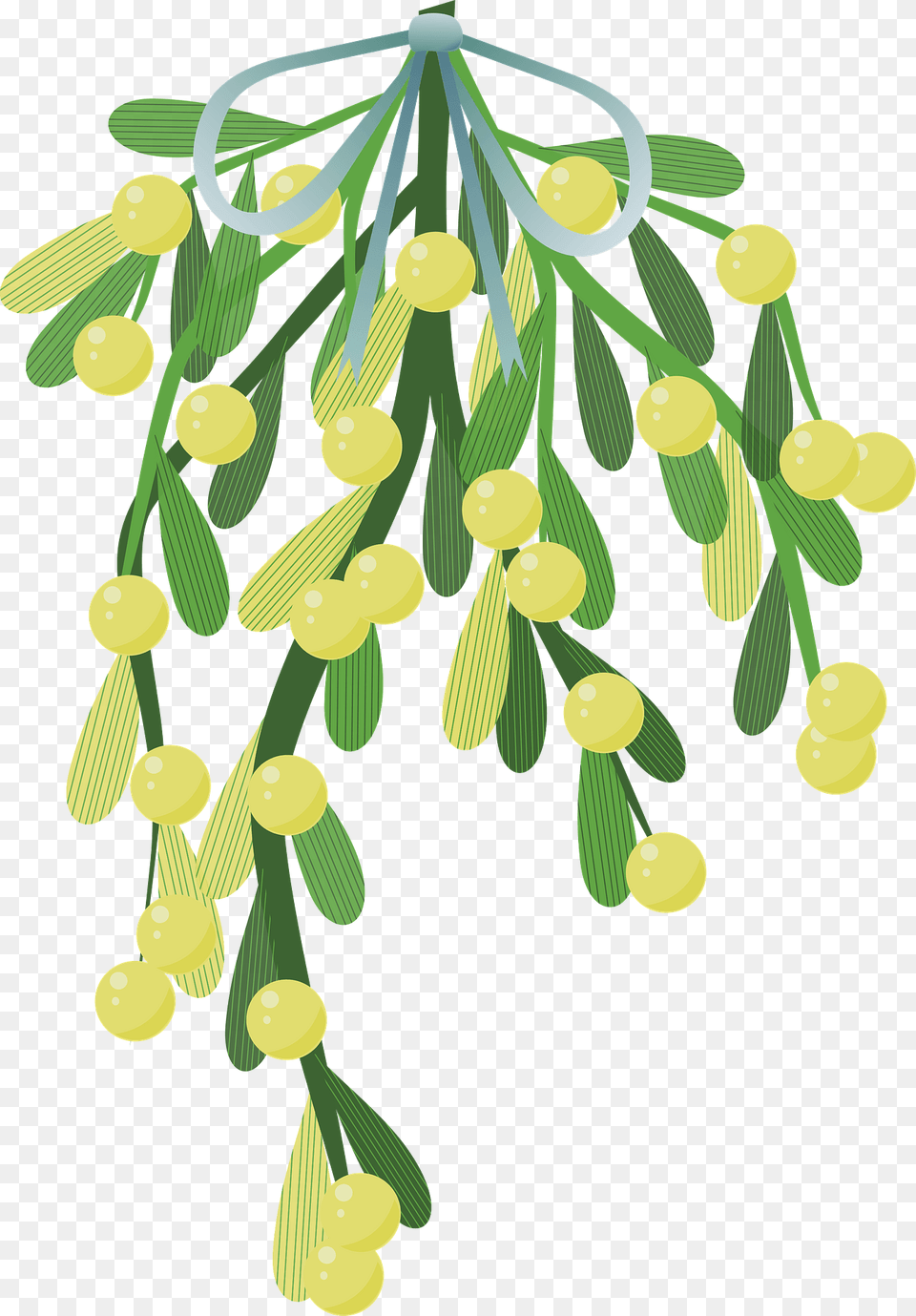 Mistletoe Clipart, Art, Graphics, Plant, Pattern Png