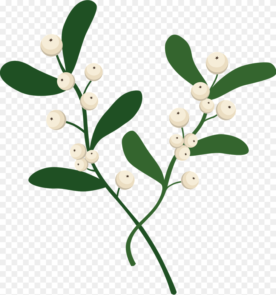 Mistletoe Clipart, Leaf, Plant, Flower Free Png