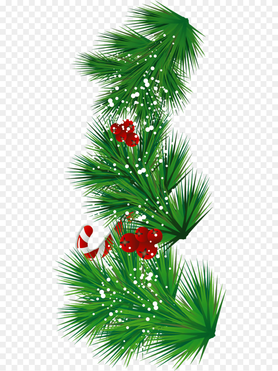 Mistletoe Clipart Christmas Tree Hierva, Plant, Conifer, Christmas Decorations, Festival Png Image