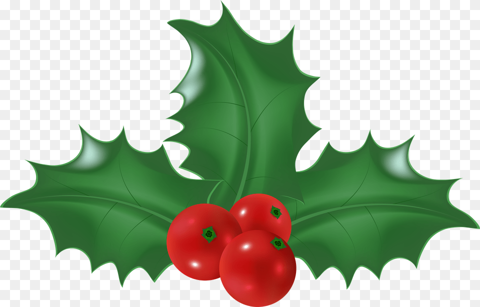 Mistletoe Clipart Holly Free Png Download