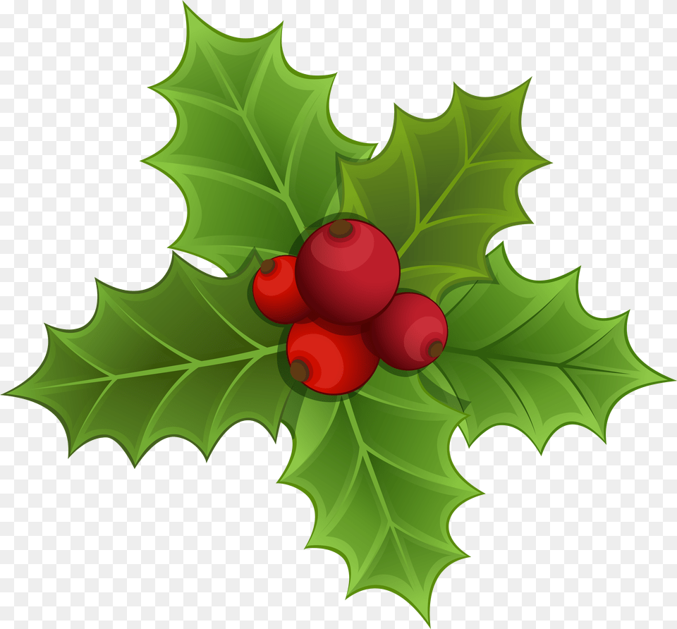 Mistletoe Clipart Holly Branch, Leaf, Plant, Food, Fruit Free Png