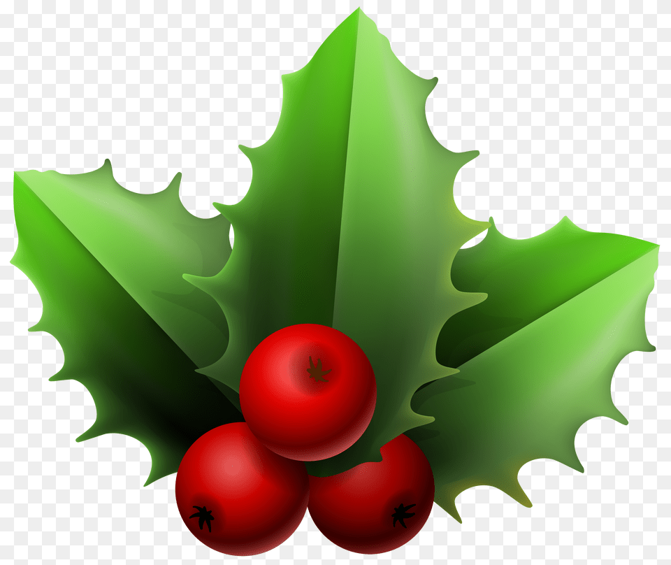 Mistletoe Clipart Image Mistletoe, Food, Fruit, Plant, Produce Free Transparent Png