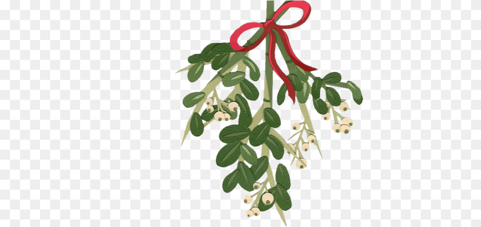 Mistletoe Cliparts Christmas Flower Watercolor, Herbal, Herbs, Leaf, Plant Free Png
