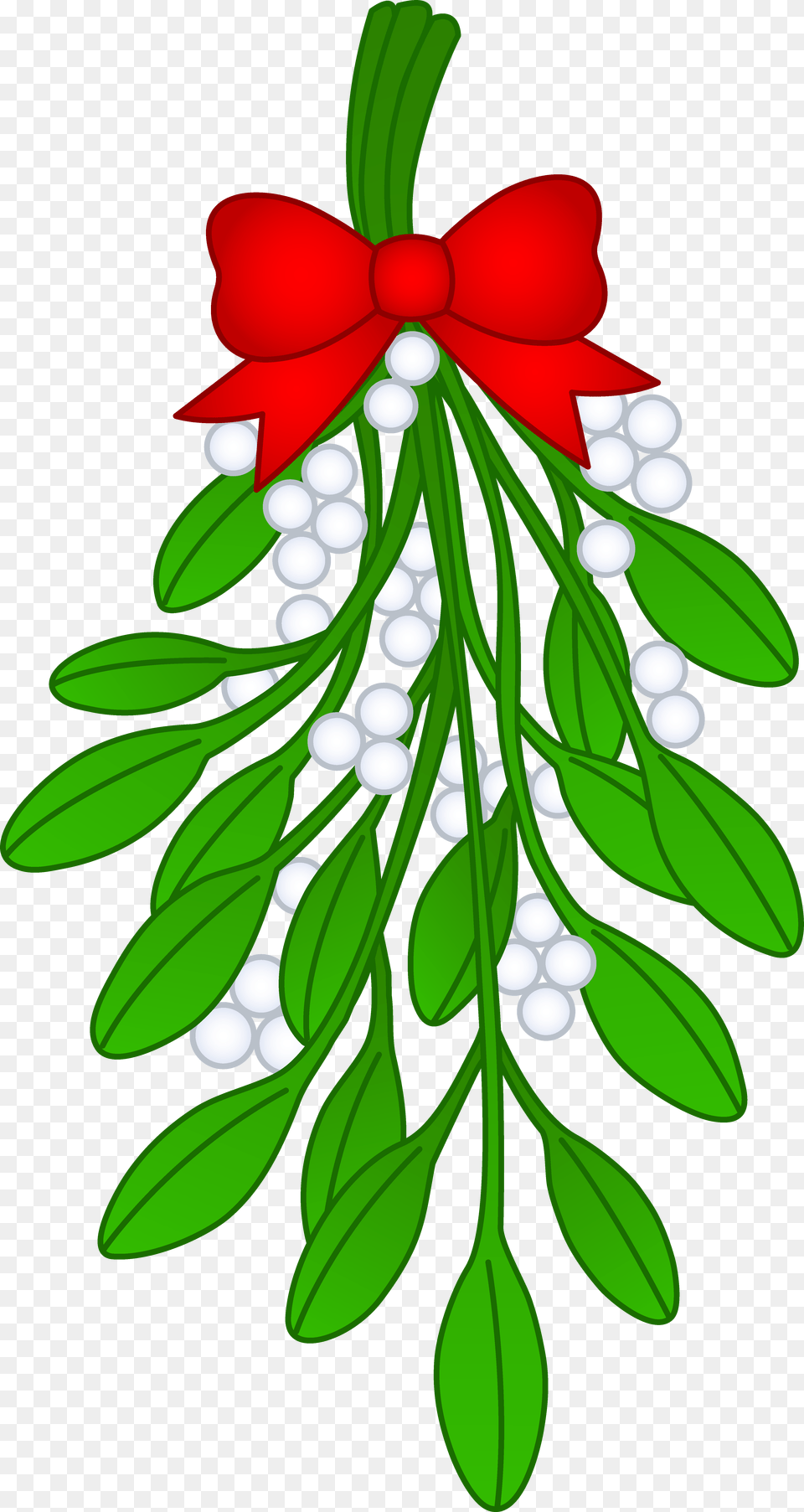 Mistletoe Cliparts Transparent, Plant, Leaf, Herbs, Herbal Free Png