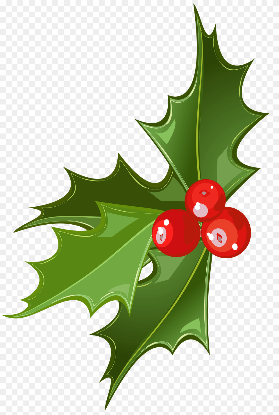 Mistletoe Cliparts Transparent, Leaf, Plant, Food, Fruit Free Png