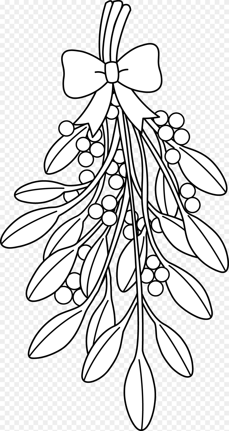 Mistletoe Coloring Pages, Art, Drawing, Floral Design, Graphics Png Image