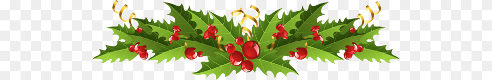 Mistletoe Decoration, Leaf, Plant, Flower, Food Free Png Download