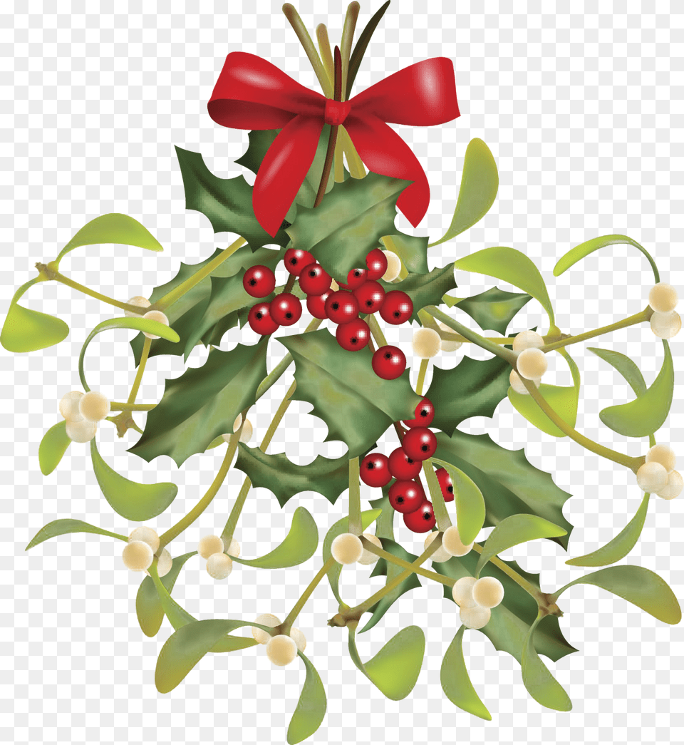 Mistletoe File, Plant, Leaf Png Image