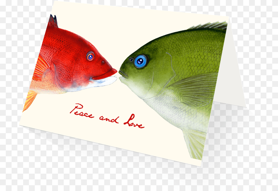 Mistletoe Fish Holiday Card Pomacentridae, Animal, Sea Life, Envelope, Mail Free Png Download