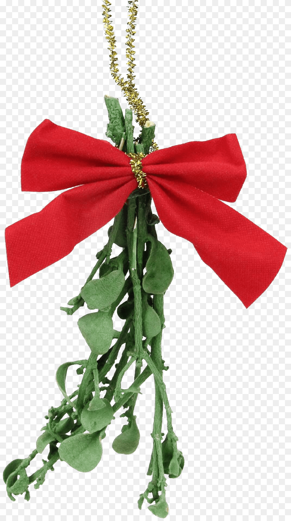 Mistletoe Transparent All Real Mistletoe, Accessories, Formal Wear, Tie, Flower Png