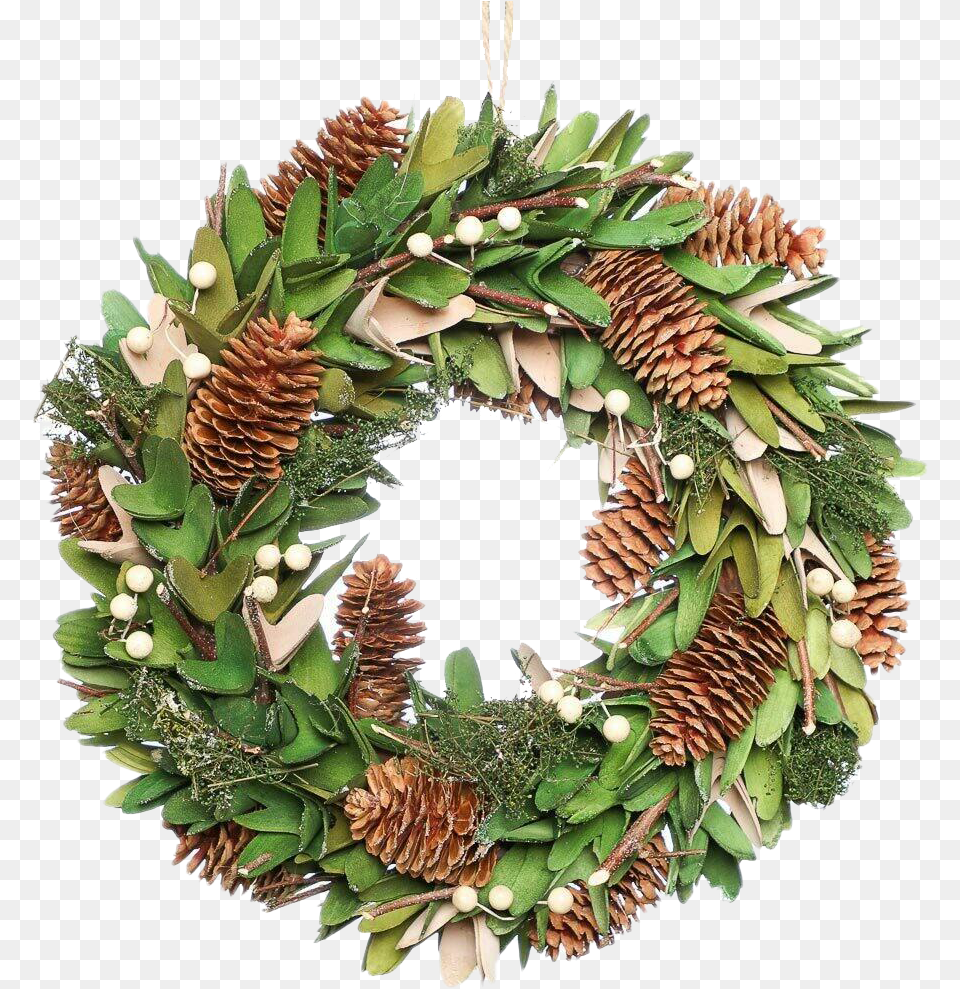 Mistletoe All Wreath, Plant, Food, Fruit, Pineapple Free Transparent Png