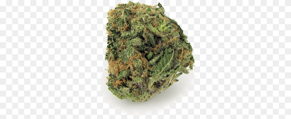 Misty Bubble Reno Igneous Rock, Plant, Weed Png Image