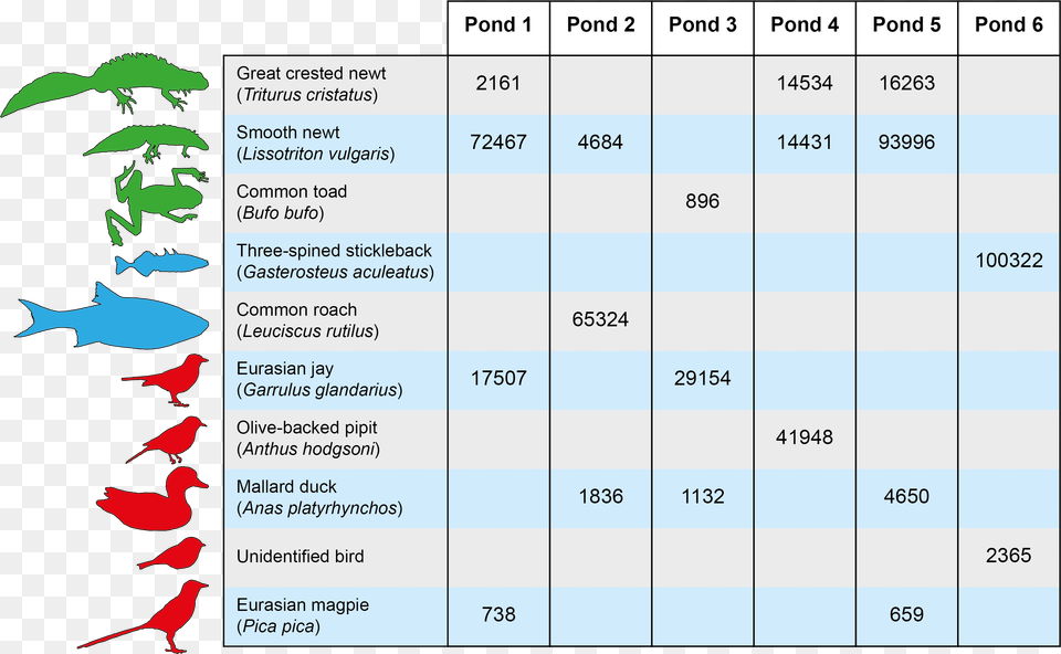 Mitigation Pond Otu Table 01 No Bg Number, Vegetation, Plant, Bird, Animal Free Transparent Png