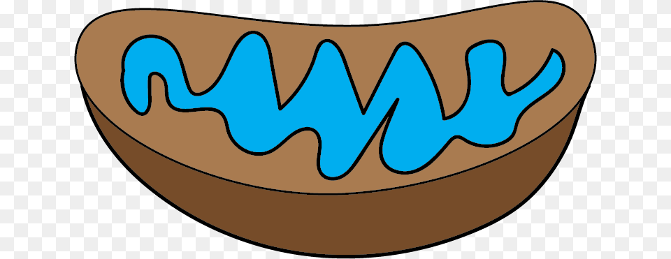 Mitochondria, Bowl, Food, Animal, Fish Free Transparent Png