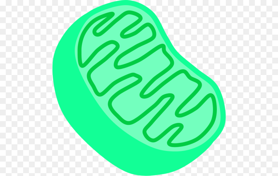 Mitochondria Clipart Gallery, Food, Sweets Free Png Download