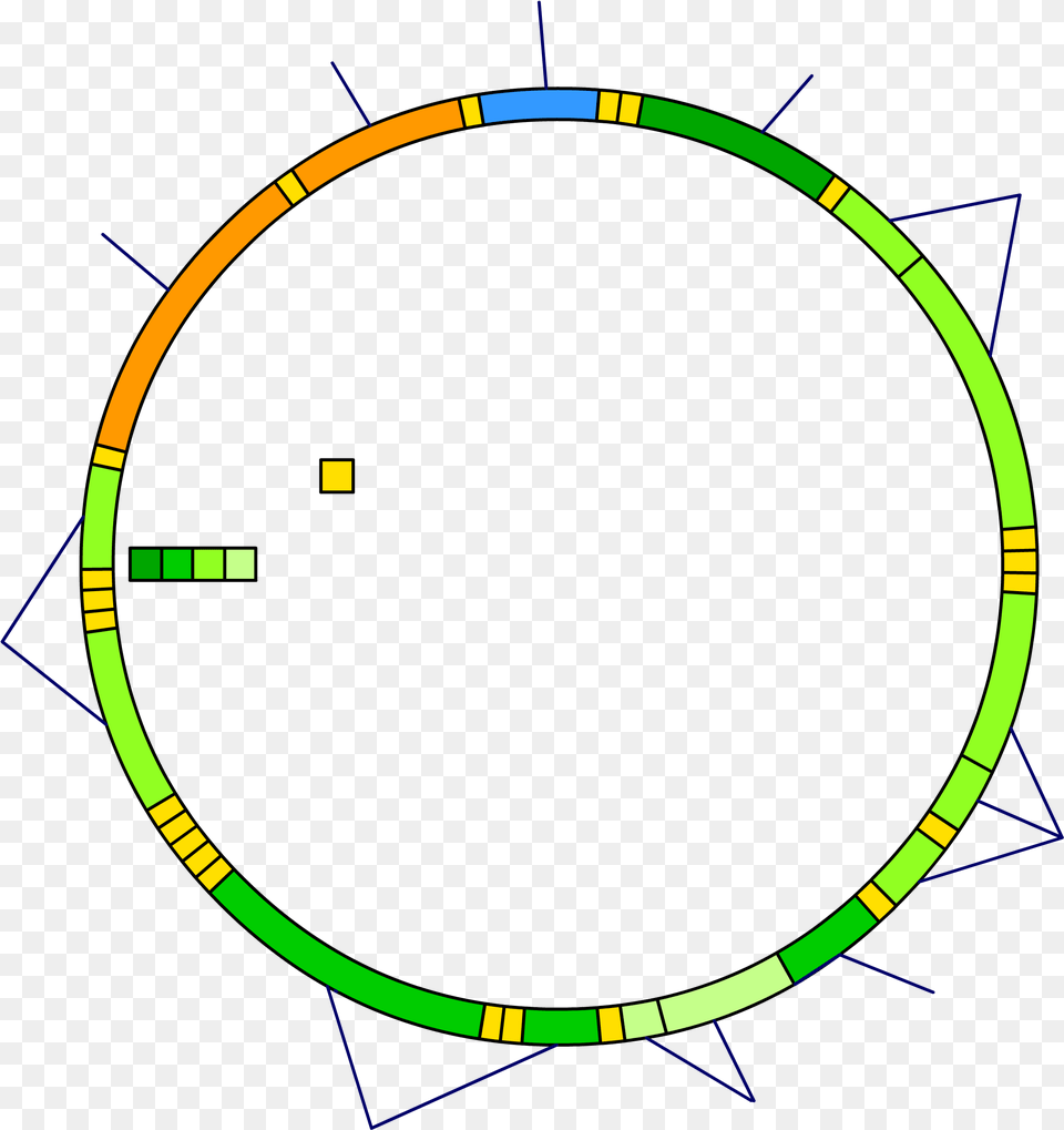 Mitochondrial Dna Blank, Bow, Weapon, Hoop Free Transparent Png