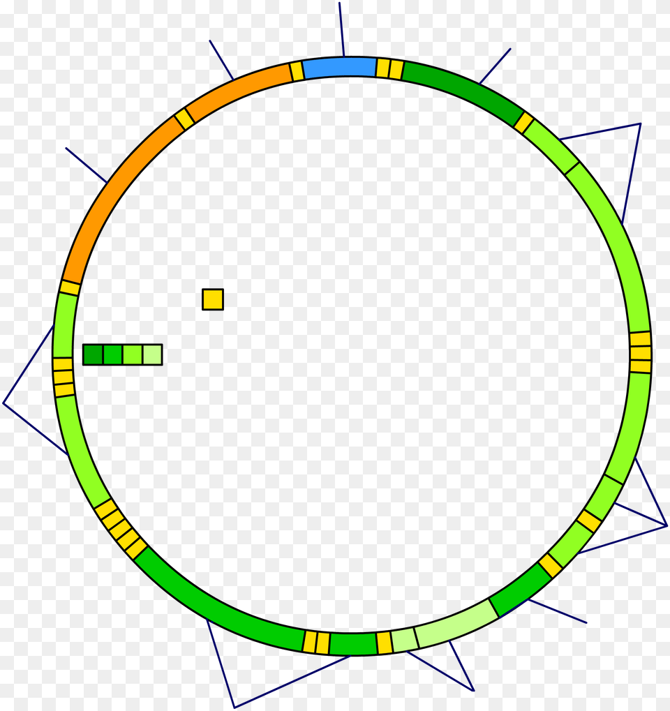 Mitochondrial Dna Blank, Bow, Weapon, Hoop Png Image