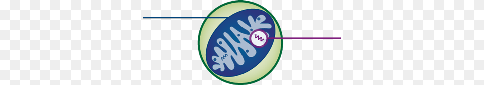 Mitochondrial Replacement Techniques, Logo Png