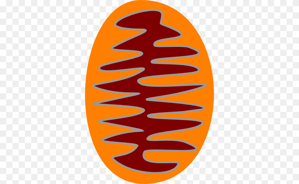 Mitochondrion Clip Art, Home Decor, Logo, Animal, Fish Free Transparent Png