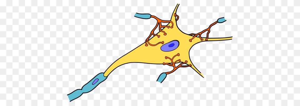 Mitochondrion Plant Cell Organelle Drawing, Animal, Fish, Sea Life, Shark Free Transparent Png