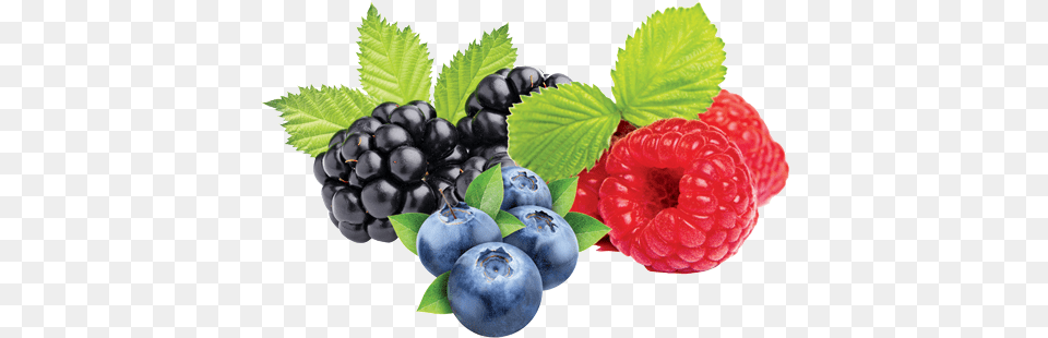 Mixberry Mix Berry, Blueberry, Food, Fruit, Plant Png Image