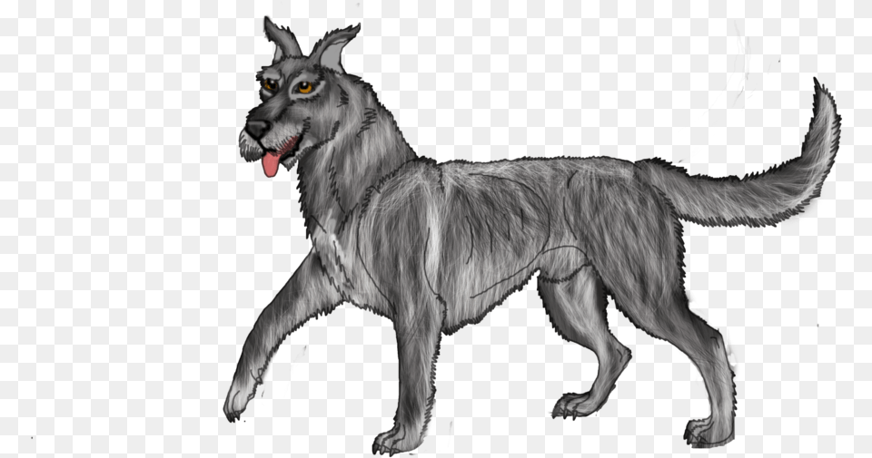 Mixed Breed Great Dane X Irish Wolf Hound Open By Lighteningfox Fox Hound Wolfhound Mix, Animal, Canine, Dog, Mammal Free Png