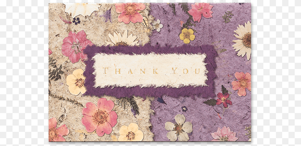 Mixed Garden Thank You Cards Image Chrysanths, Art, Pattern, Home Decor, Graphics Free Transparent Png