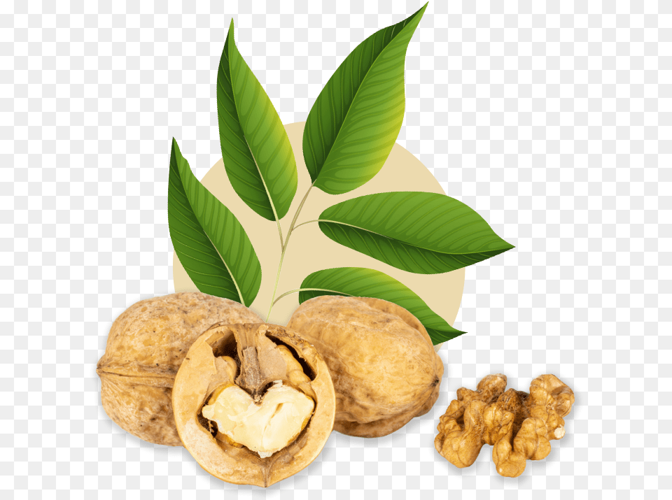 Mixed Halves Walnut, Food, Nut, Plant, Produce Png Image