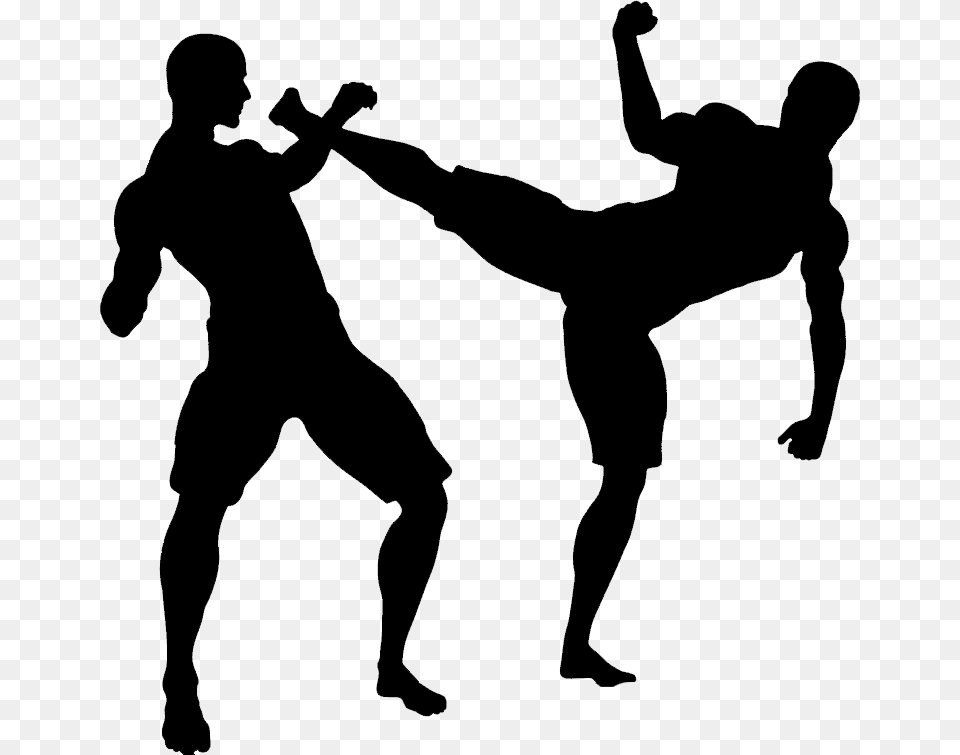 Mixed Kung Fu Fight Steps, Silhouette, Person, Man, Male Free Png Download