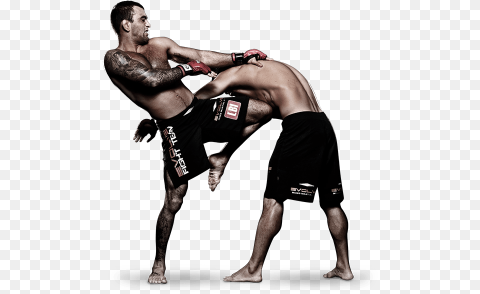Mixed Martial Arts Fight Pic Mix Martial Arts, Adult, Male, Man, Person Free Png