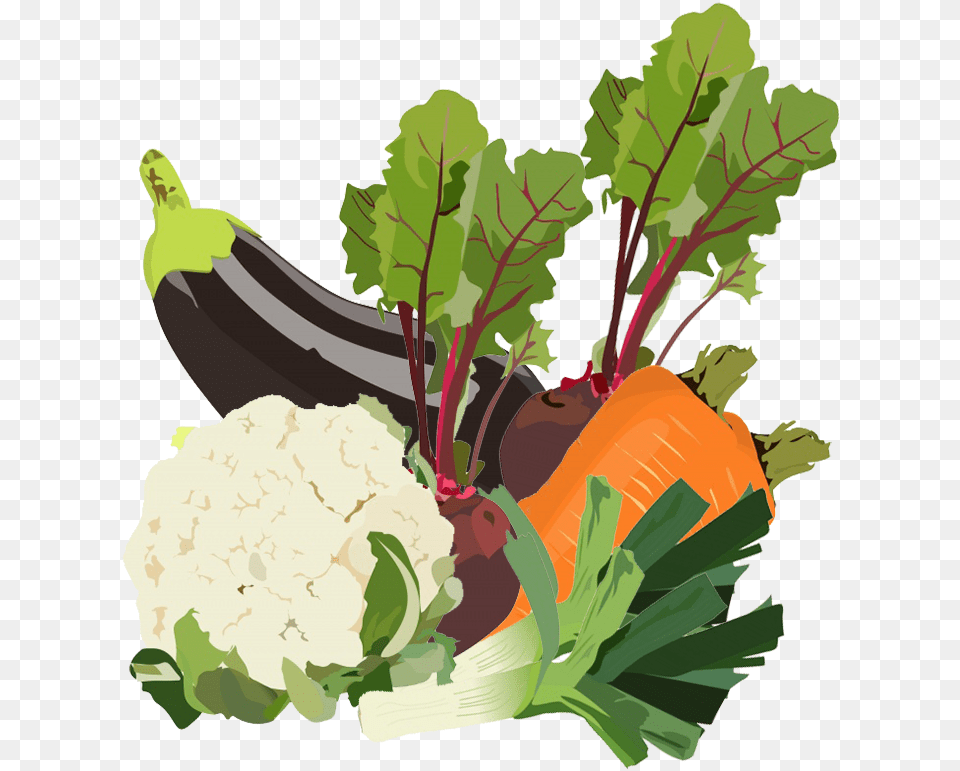 Mixed Vegetables Clipart Leaf Vegetable, Food, Plant, Produce, Cauliflower Free Transparent Png