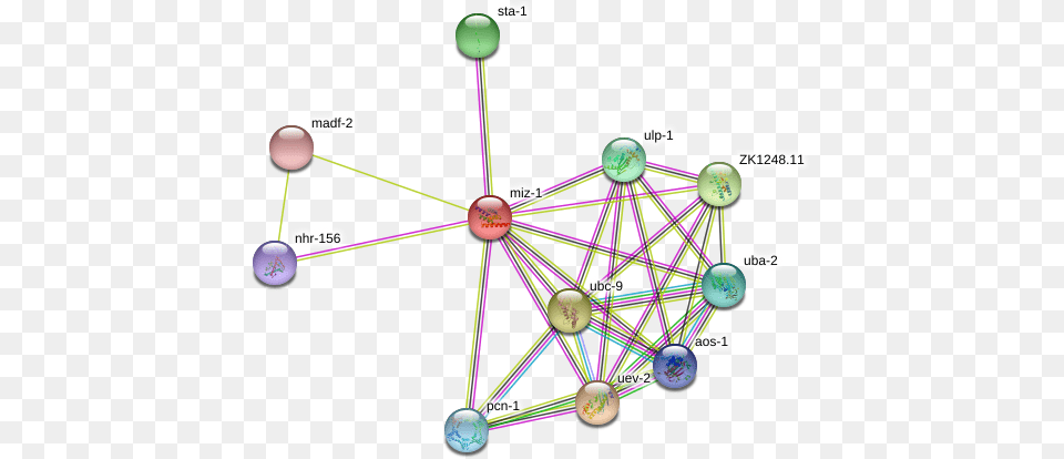 Miz 1 Protein Circle, Network, Chandelier, Lamp Free Png Download