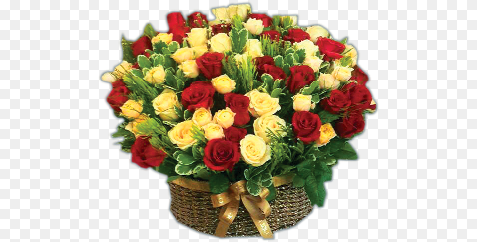 Mizhnarodnij Den Sekretarya, Flower, Flower Arrangement, Flower Bouquet, Plant Free Transparent Png