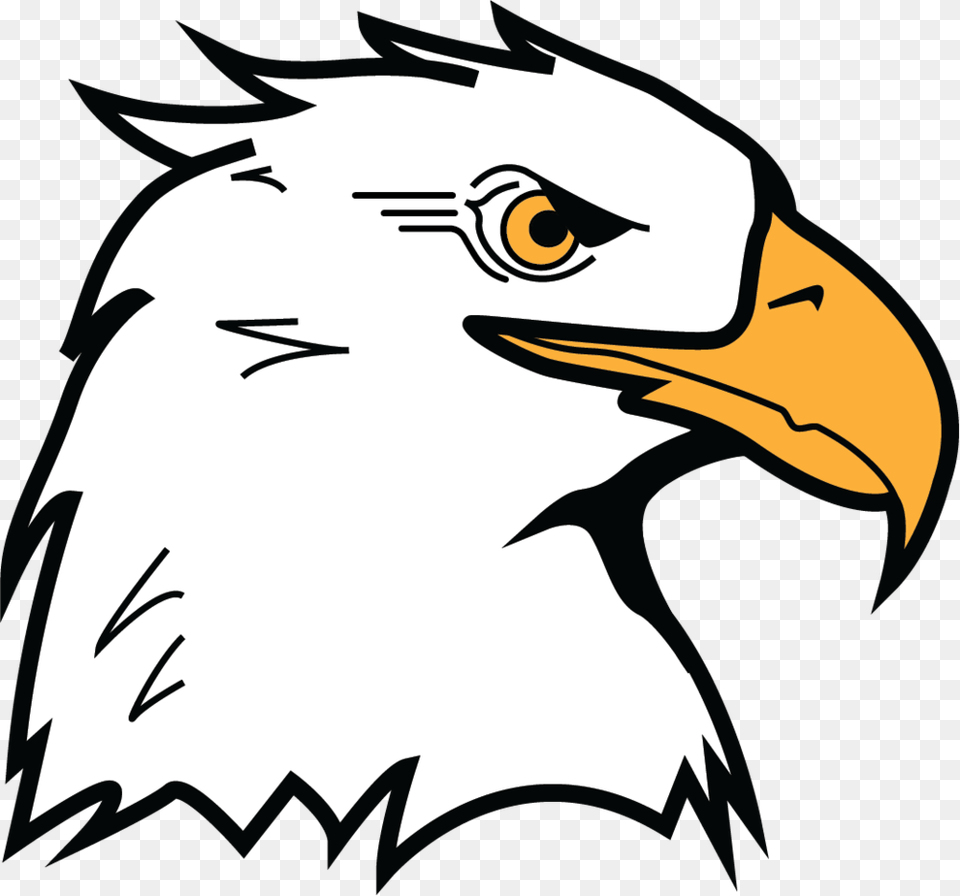 Mk Eagle Head, Animal, Beak, Bird, Bald Eagle Png