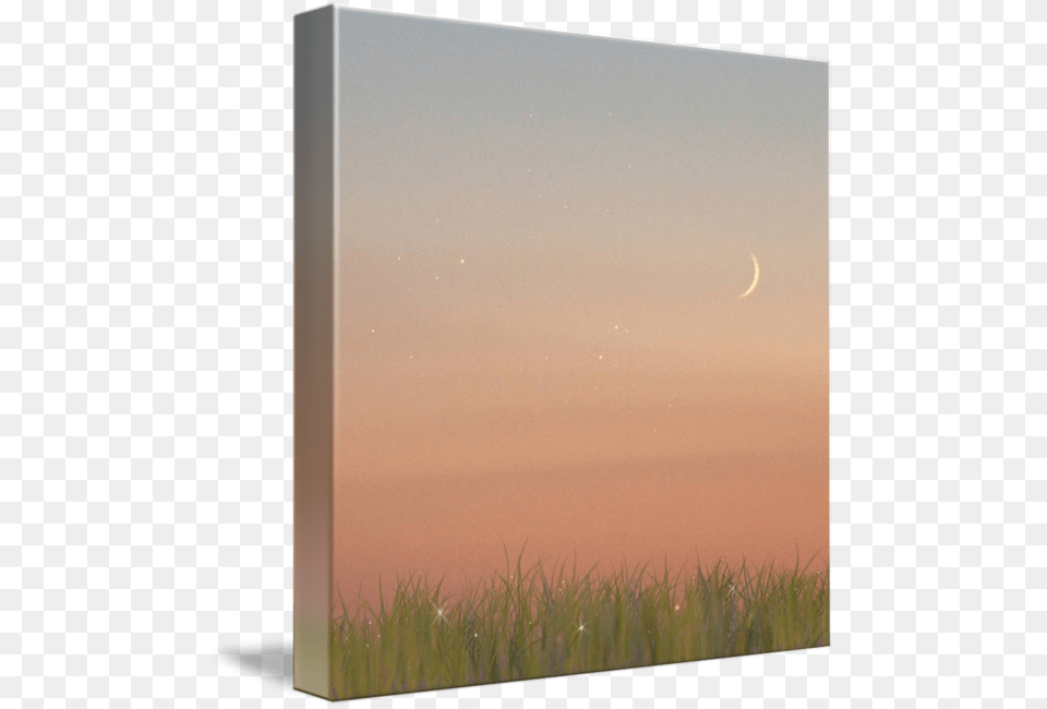 Mkc Photography Field Of Stars Canvas Grass, Plant, Outdoors, Night, Nature Free Png