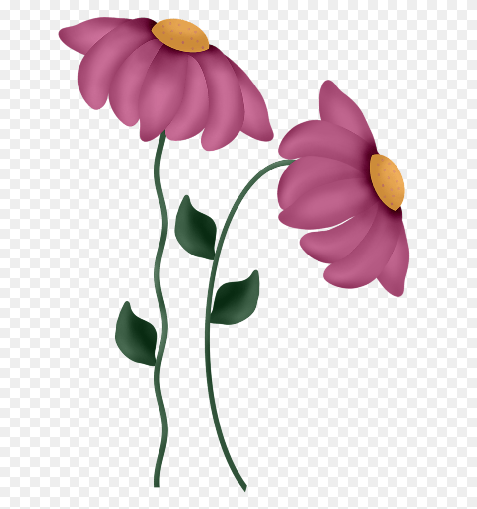 Mlc What May Be Flowers Clip Art, Daisy, Flower, Petal, Plant Png