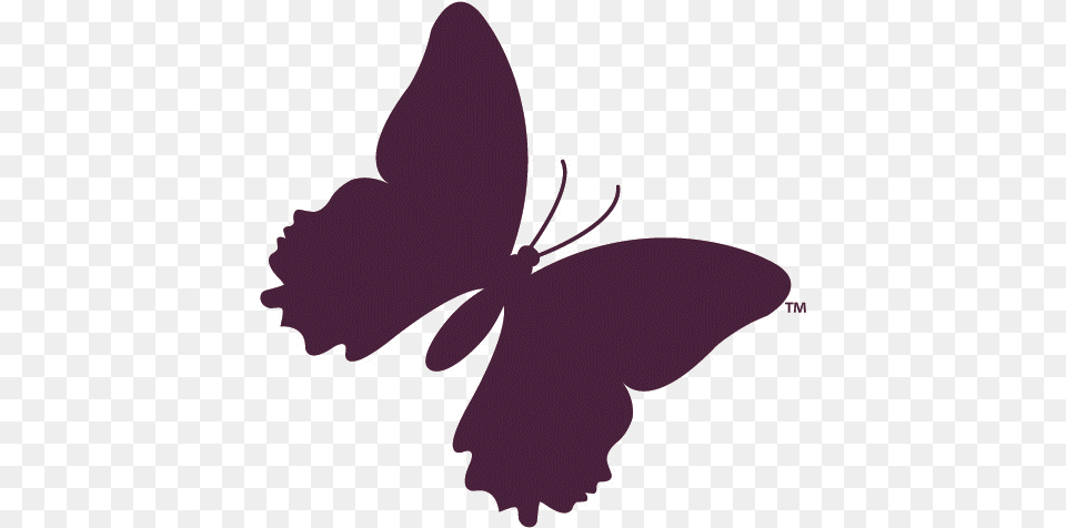 Mld Foundation Purple Butterfly, Flower, Plant, Petal, Hibiscus Png